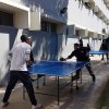DIA_ACTIV_FISICA_2019