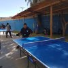 DIA_ACTIV_FISICA_2019